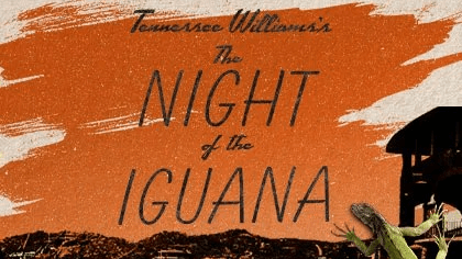 The Night of the “I&nbsp;Wanna”